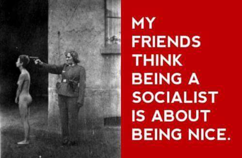 12717867_931415356955748_8647230382995391287_n_my-friend-thinks-socialism-is-nice
