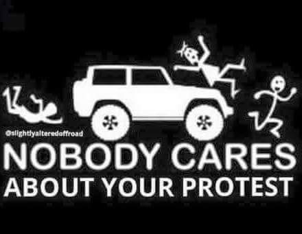 983698_10208081643112324_7182838814063801559_n-run-over-freeway-blockers-blm-protest