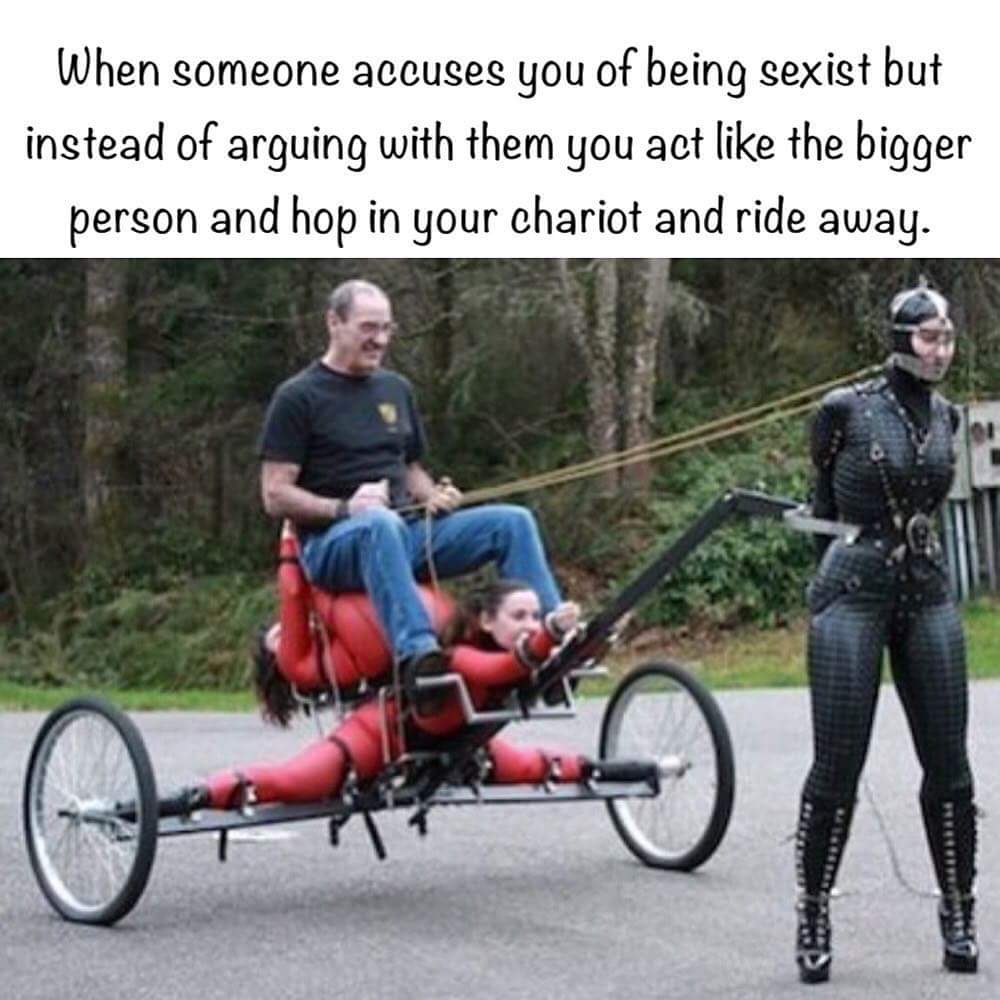 sexist-charriot