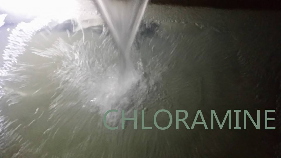 EPA Destroys Health, Pipes and Environment with Chloramine – WarOnPress
