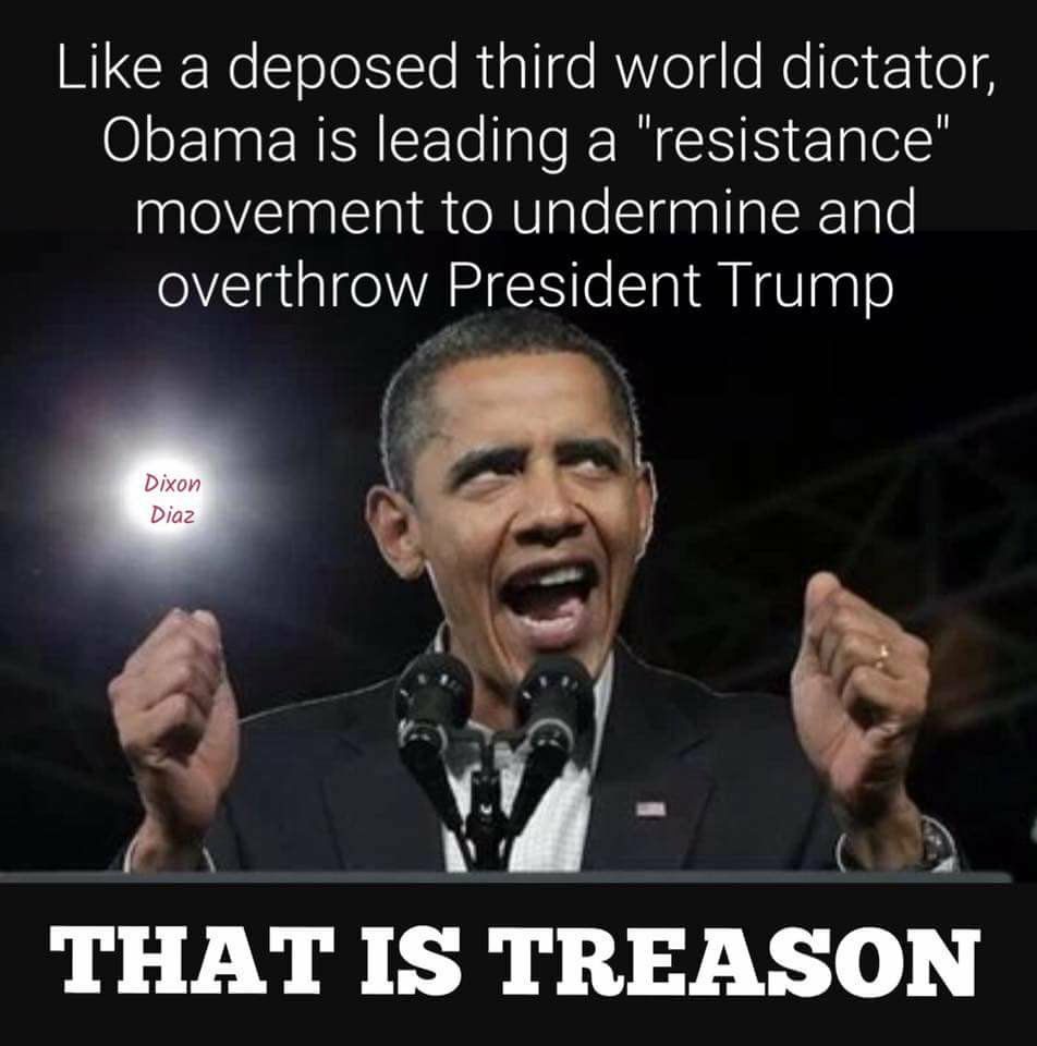 OBAMA TREASON TRAITOR OFA RESISTANCE SEDITION