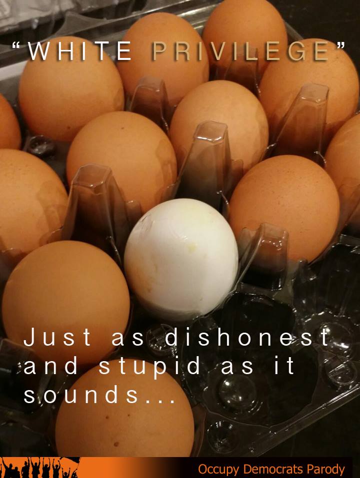 white privilege dishonest and stupid