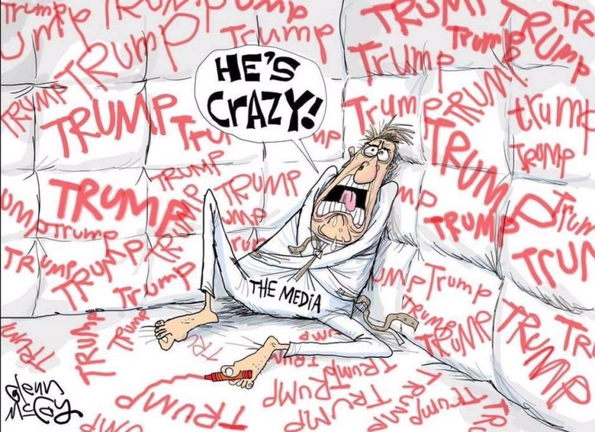 trump is crazy per unhinged fake news media