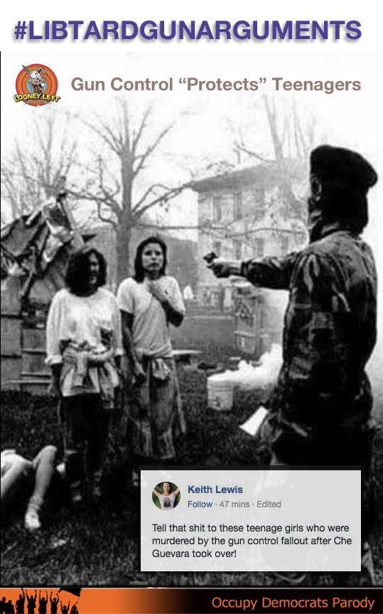 LIBTARD GUN ARGUMENTS PROTECTS TEENAGERS CHE GUEVARA