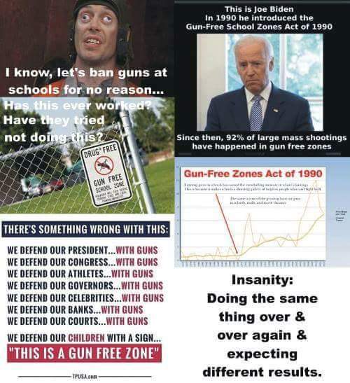 gunfreezone began school shootings