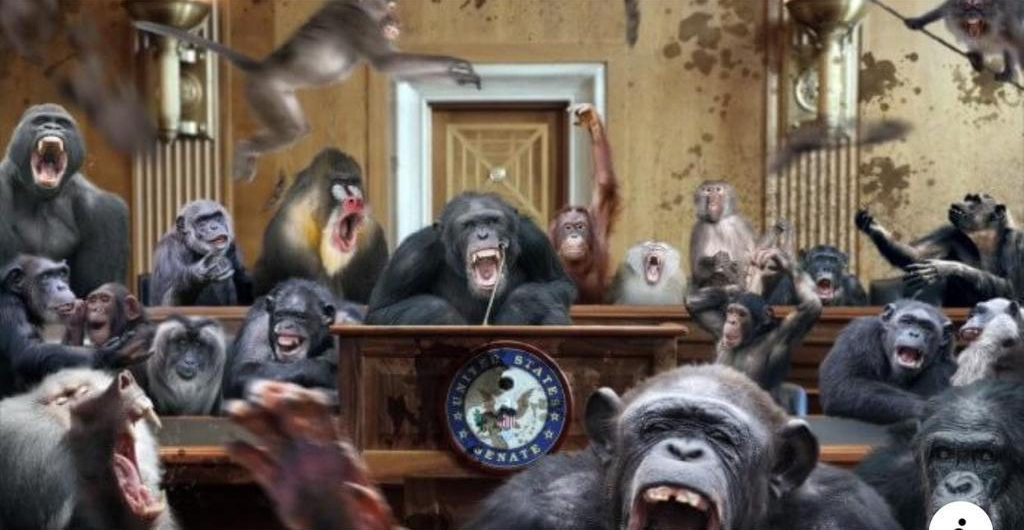 Feinstein’s Flying Monkey&nbsp;Circus