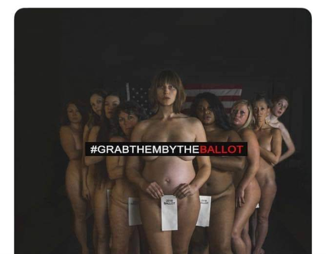 grab them by ballot campaign viledems