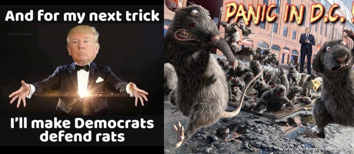 Trump’s War on&nbsp;Pedophilia