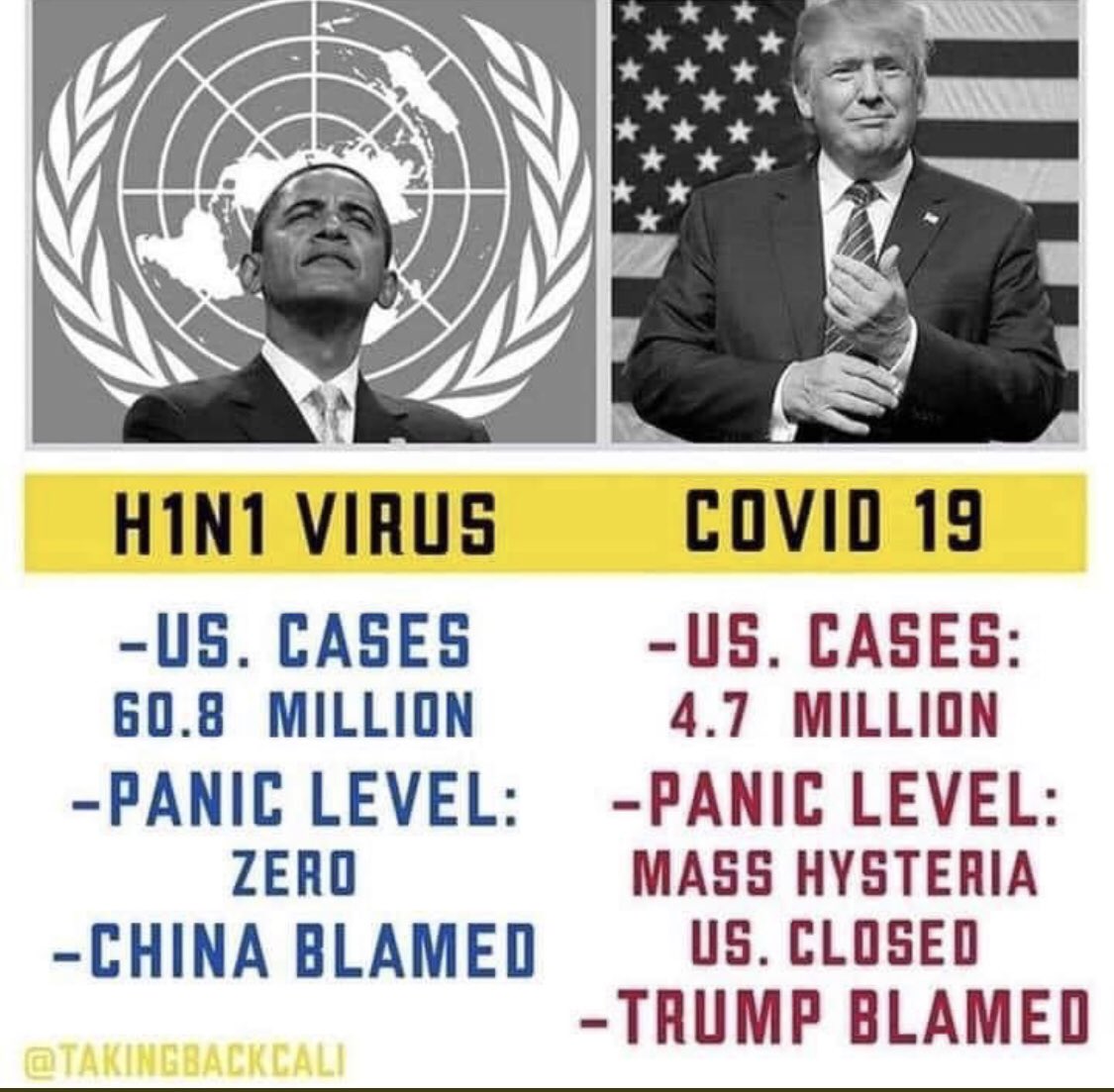 Mass Murdering Democrats Frame Trump for their Own Election&nbsp;Flu