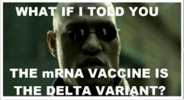 CDC Discovered a Clever New Way to&nbsp;Lie!