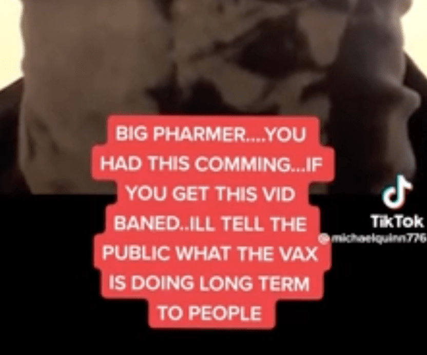 On the Snowball Effects of Mass Immune Failure for&nbsp;Jabbed